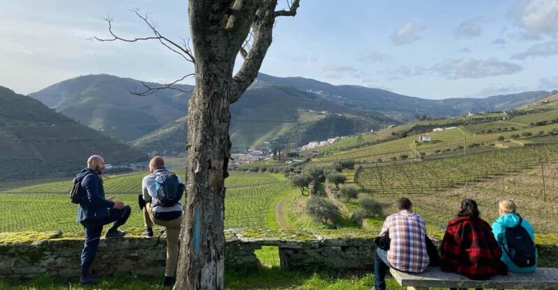 Douro valley: 10 km hike in the Valley - Key Points