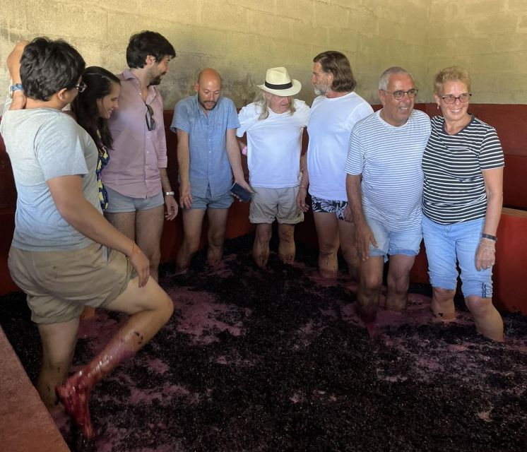 Douro Valley: 2 Vineyards, 1-Hour Cruise and Lunch - Small Group Size and Language