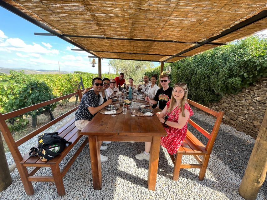 Douro Valley: 2 Vineyards, 1-Hour Cruise and Lunch - Suitability Considerations