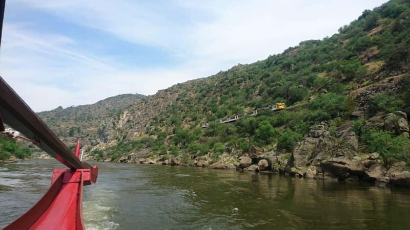 Douro Valley: 2 Wineries, Lunch & Boat - What Makes This Tour Stand Out