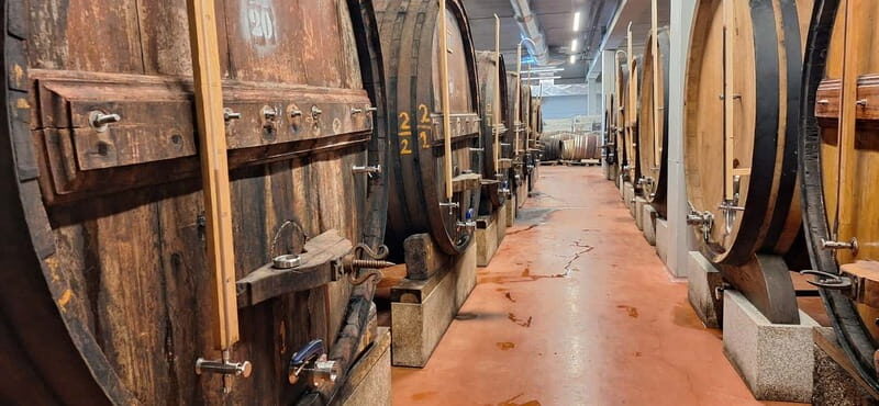 Douro Valley: 2 Wineries, Lunch & Boat - Who Should Consider This Tour?