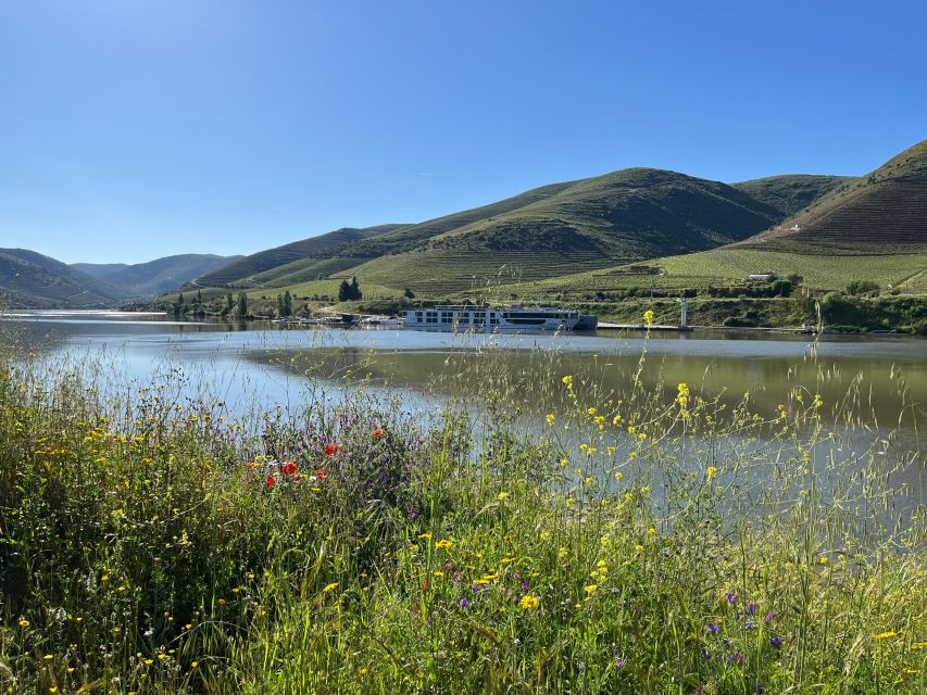 Douro Valley: 30 Minutes Private Airplane Tour - Meeting Point