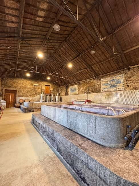 Douro Valley: 4wd Tour, Winery Visit, Boat Ride & Lunch - Practical Tips for Travelers
