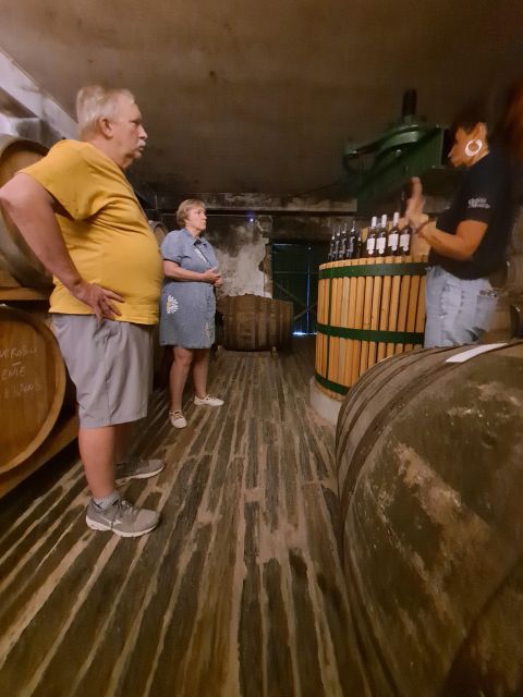 Douro Valley: 8-9h Full-Day Tour at the Magic Valley! - Wheelchair Accessibility
