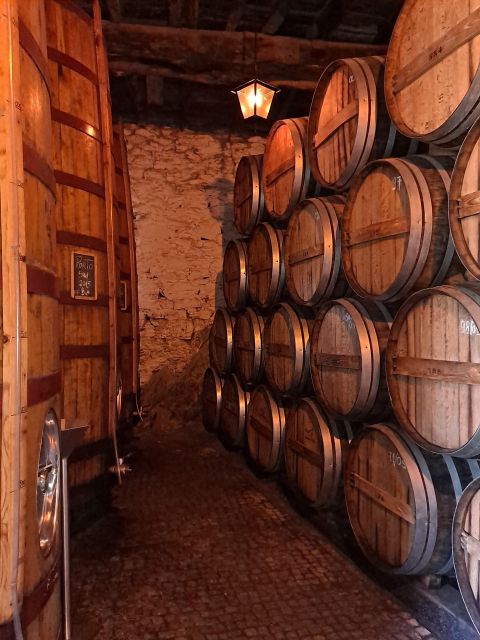 Douro Valley: 8-9h Full-Day Tour at the Magic Valley! - Booking and Cancellation
