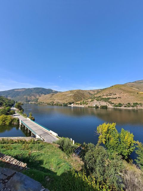 Douro Valley: 8-9h Full-Day Tour at the Magic Valley! - Frequently Asked Questions