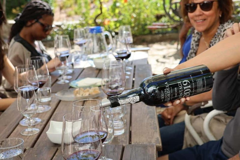 Douro Valley: A Half-Day Escape into Wine and Traditions - Key Points