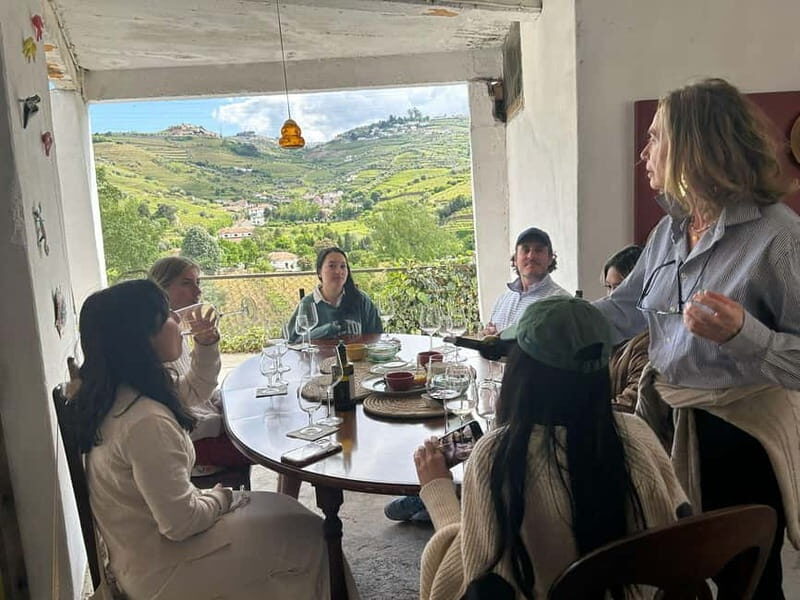 Douro Valley: A Half-Day Escape into Wine and Traditions - An Overview of the Douro Valley Tour
