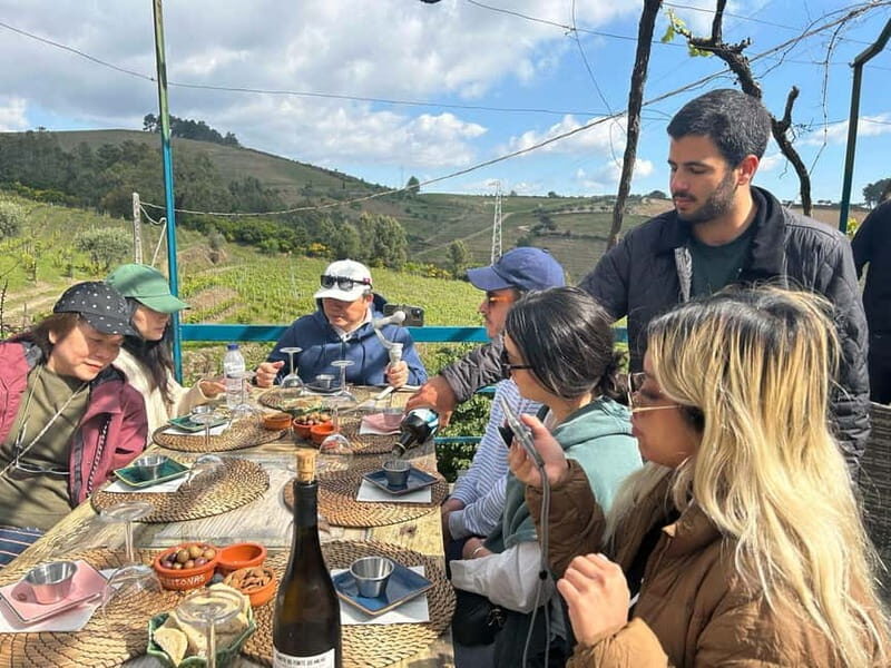 Douro Valley: A Half-Day Escape into Wine and Traditions - Practical Details and Value