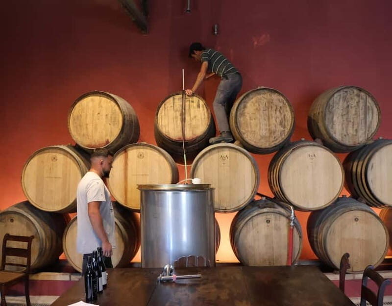 Douro Valley: A Half-Day Escape into Wine and Traditions - Who Will Love This Tour?