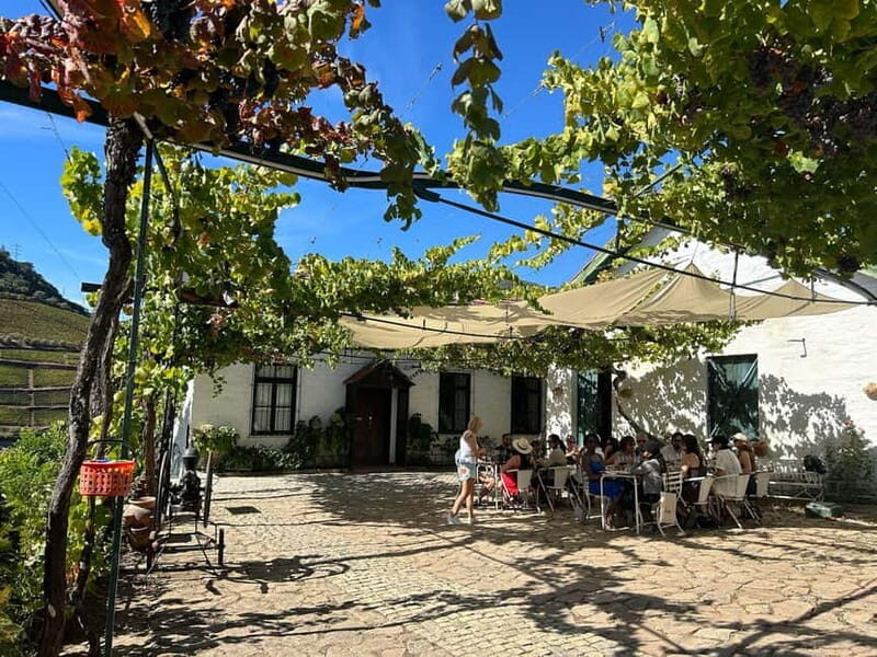 Douro Valley: A Half-Day Escape into Wine and Traditions - Final Thoughts