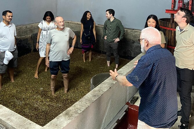Douro Valley All Included: Expert Guide, Boat, Lunch, Tastings - Additional Information