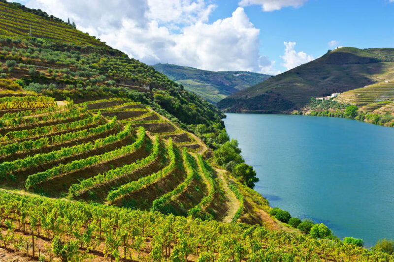 Douro Valley & Amarante - from Porto, Braga or Guimarães - An Overview of the Tour