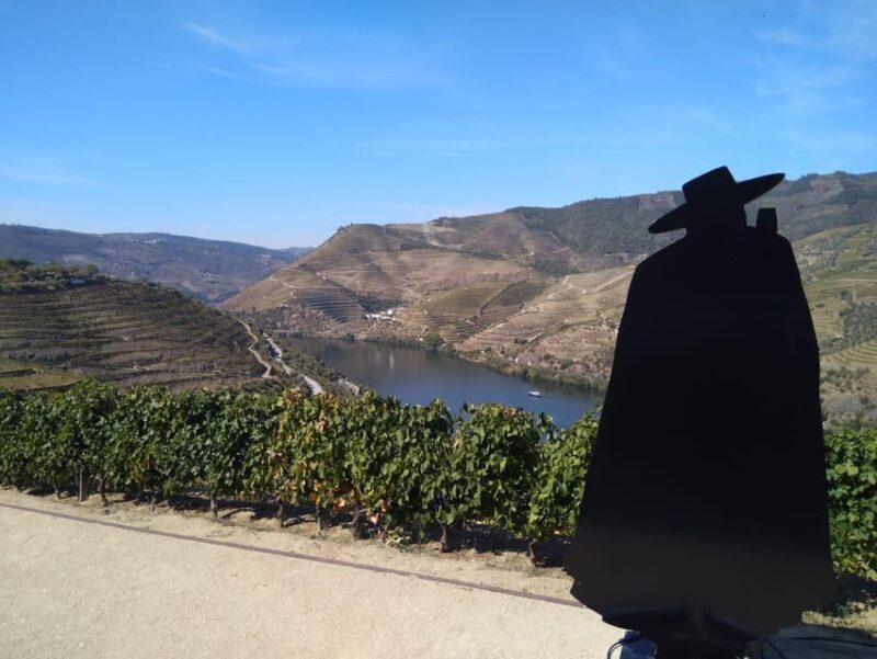 Douro Valley & Amarante - from Porto, Braga or Guimarães - Itinerary Breakdown: What to Expect