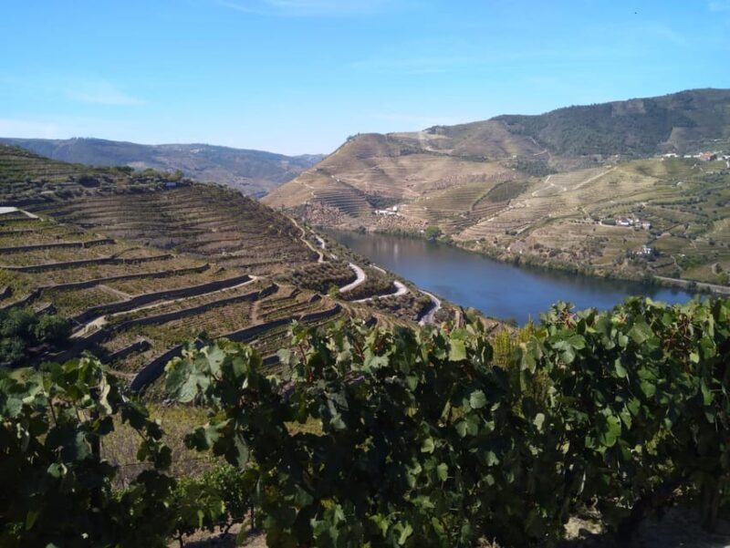 Douro Valley & Amarante - from Porto, Braga or Guimarães - Price and Value
