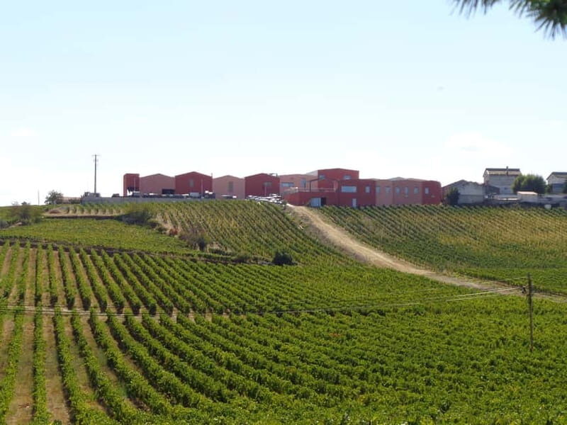 Douro Valley: Bottled VS Barrel Aged Port Wine - FAQ