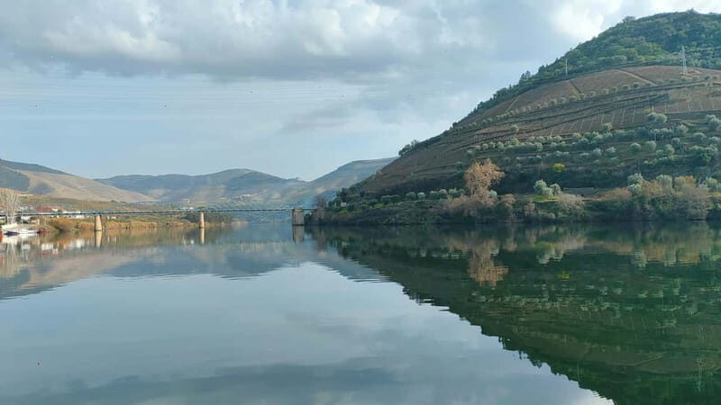 Douro Valley: Discover the Wine Region with Tastings. - The Sum Up