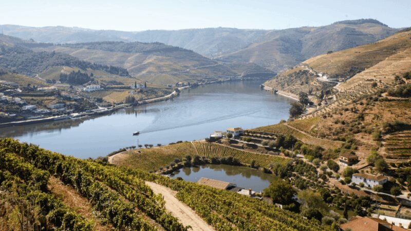 Douro Valley : Exclusive and Sustainable experience - An Introduction to the Douro Valley Tour