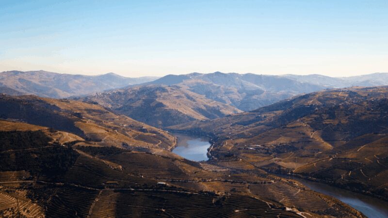 Douro Valley : Exclusive and Sustainable experience - What Makes This Tour Stand Out?