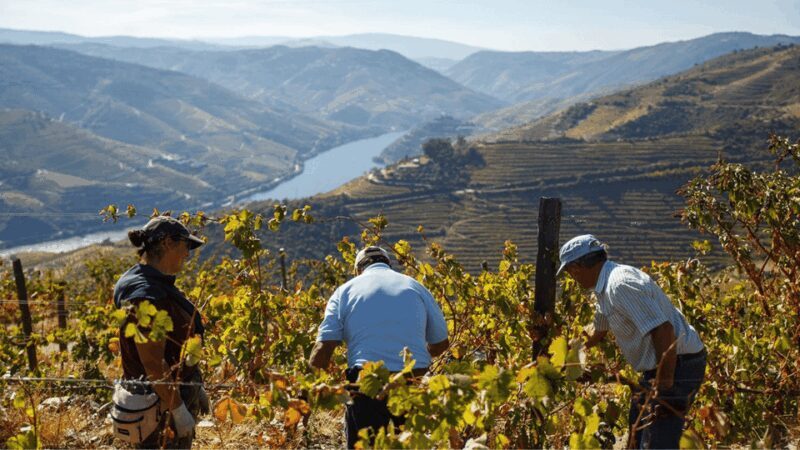 Douro Valley : Exclusive and Sustainable experience - Final Thoughts