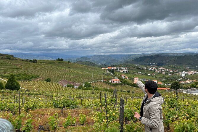 Douro Valley for Wine Lovers with Visit to 3 Vineyards and Lunch at a Winery - Who Should Consider This Tour?
