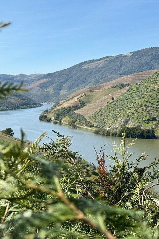 Douro Valley Full Day Tour From Lisbon - Introduction