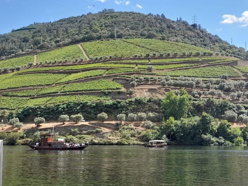Douro Valley Full Day Tour From Lisbon - Is the Price Worth It?