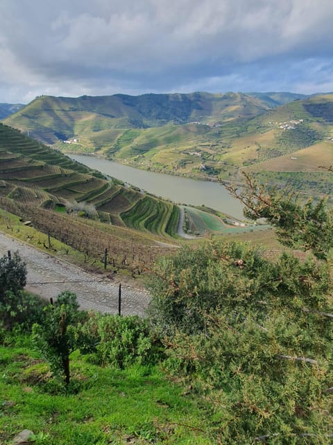 Douro Valley Full Day Tour From Lisbon - The Sum Up
