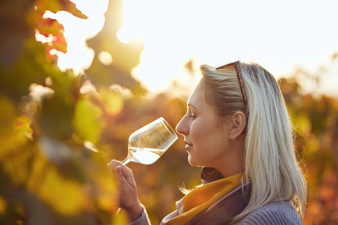 Douro Valley Historical Tour With Lunch, Winery Visit With Tastings and Panoramic Cruise - Reviews and Ratings