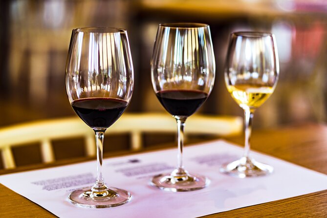 Douro Valley Historical Tour With Lunch, Winery Visit With Tastings and Panoramic Cruise - Additional Information
