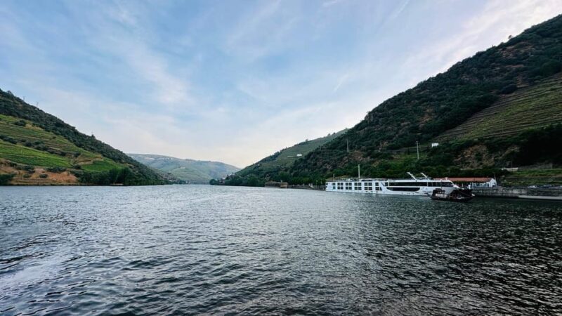 Douro Valley Journey: 4 Cities and Wine Estate All-Included - Who Will Love This Tour?