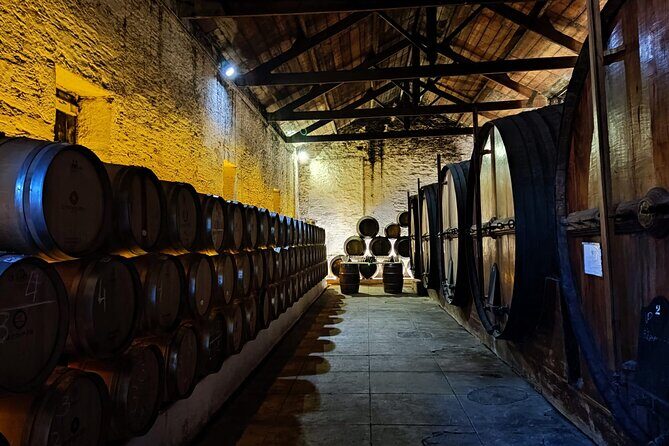 Douro Valley Pinhao Quinta da Foz Tour and Tasting 5 Wines - An In-Depth Look at the Quinta da Foz Tour