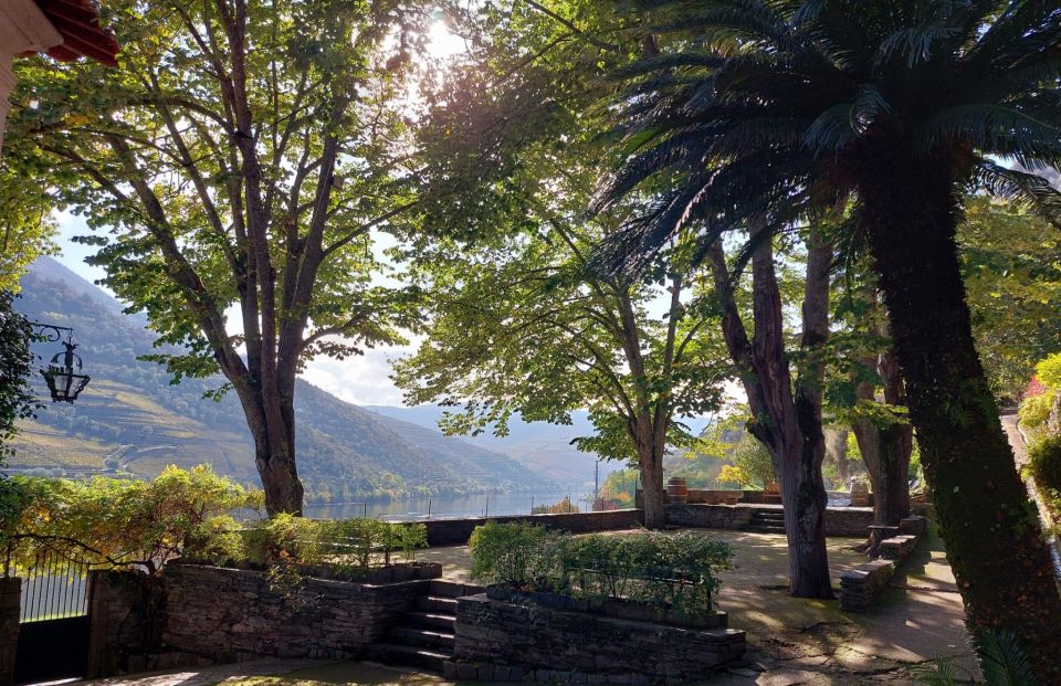 Douro Valley: (Pinhão) Quinta Da Foz - Tour & Tasting 5 WINES - Key Points