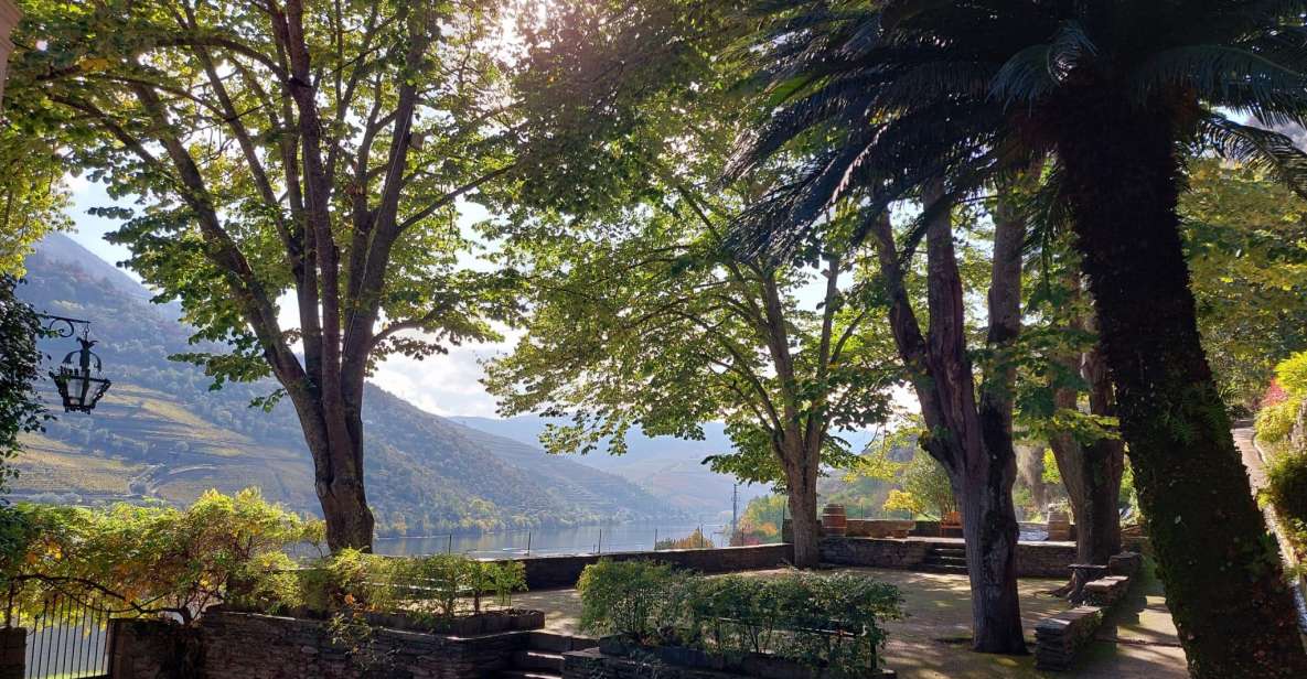 Douro Valley: (Pinhão) Quinta Da Foz - Tour & Tasting 5 WINES - Wine Tasting Selection
