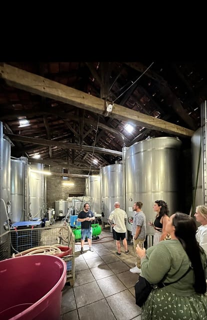 DOURO VALLEY: Premium Wine Tour, Winery Lunch & Private Boat - FAQ