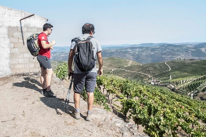 Douro Valley Private Hike&Picnic - Meeting and Pickup Information