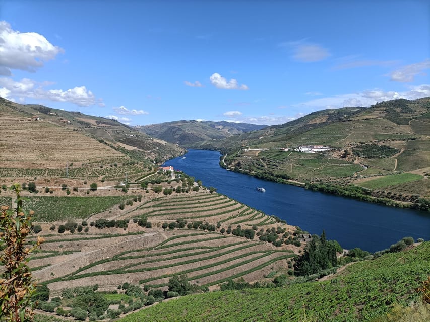 Douro Valley: Private Sommelier Tour with 3 Wineries & Lunch - Exploring the Douro Valley with a Private Sommelier