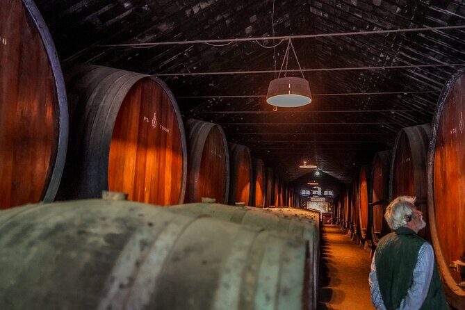 Douro Valley private tour from Lisbon - Authentic Experiences and Genuine Value