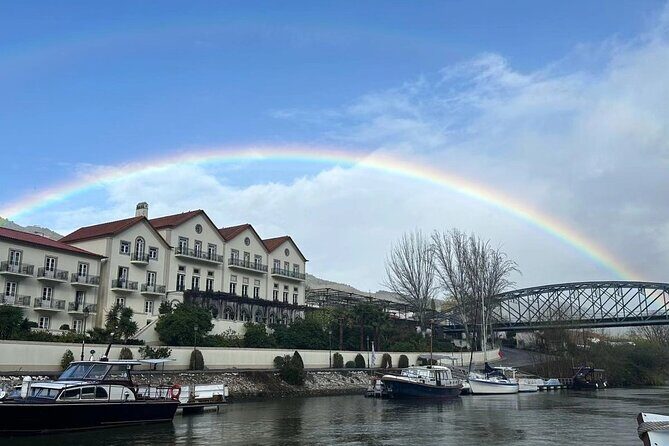 Douro Valley private tour full day - A Practical Look at the Douro Valley Private Tour from Porto