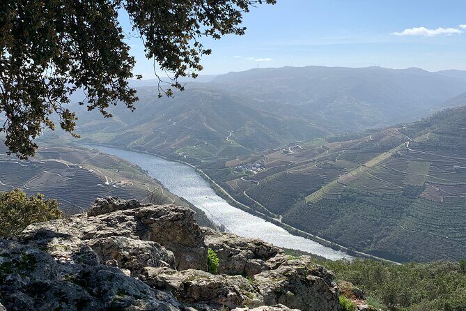 Douro Valley private tour includes wine tasting and boat trip - Stop 3: Peso Da Régua and Wine Tasting