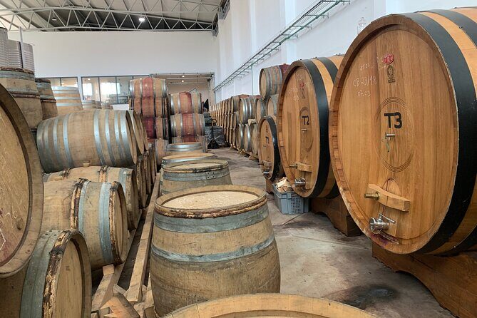 Douro Valley private tour includes wine tasting and boat trip - Authenticity and Value