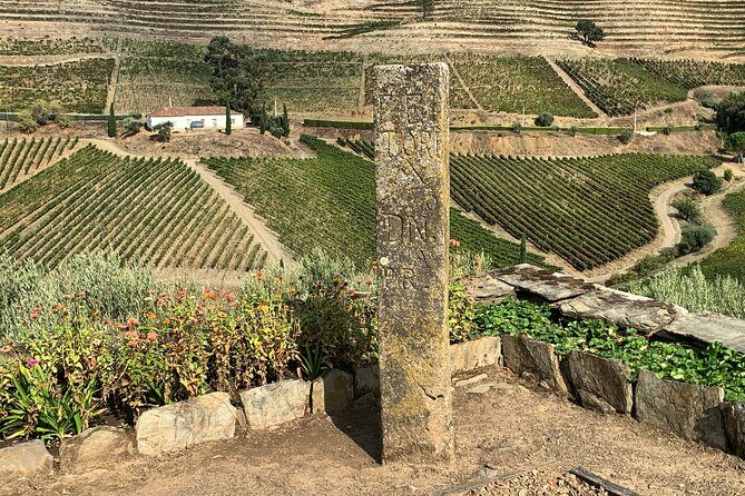 Douro Valley private tour includes wine tasting and boat trip - Final Thoughts on Cost and Experience