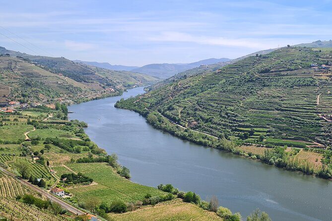 Douro Valley Private Tour (winery + boat + viewpoint) - An In-Depth Look at the Douro Valley Private Tour