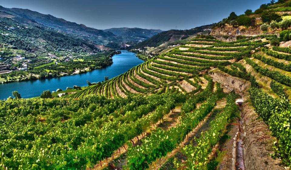 Douro Valley Private Tour With 2 Wine Tastings - Pricing Details