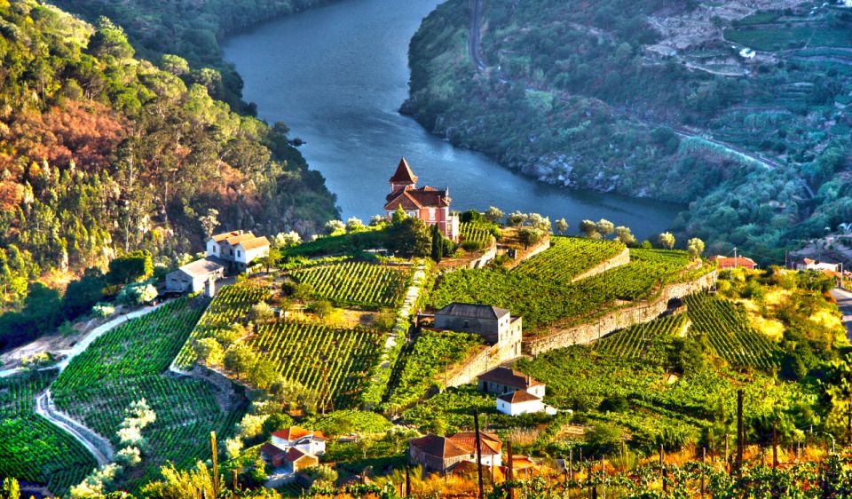 Douro Valley Private Tour With 2 Wine Tastings - Inclusions and Experiences