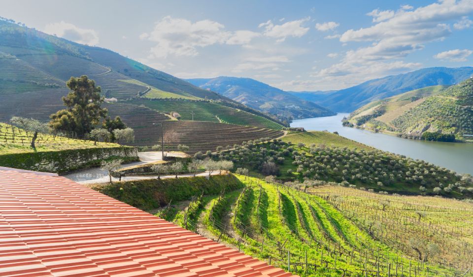 Douro Valley Private Tour With 2 Wine Tastings - Booking and Cancellation Policy