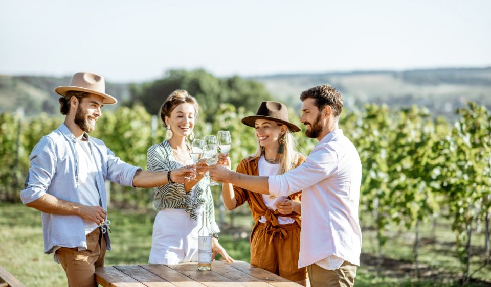 Douro Valley Private Tour With 2 Wine Tastings - Logistics and Transportation