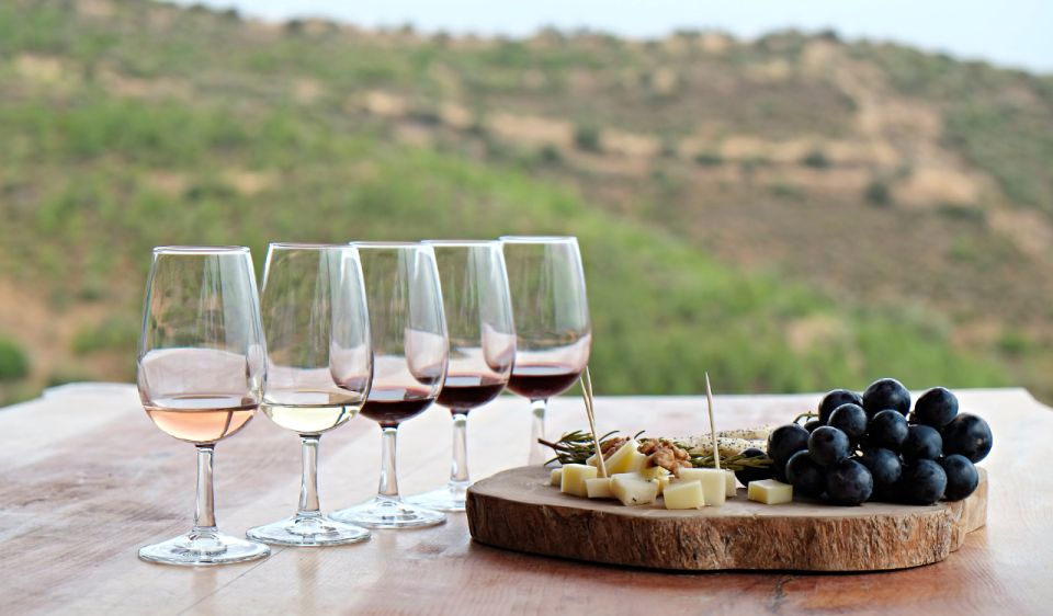 Douro Valley Private Tour With 2 Wine Tastings - Highlights of the Tour