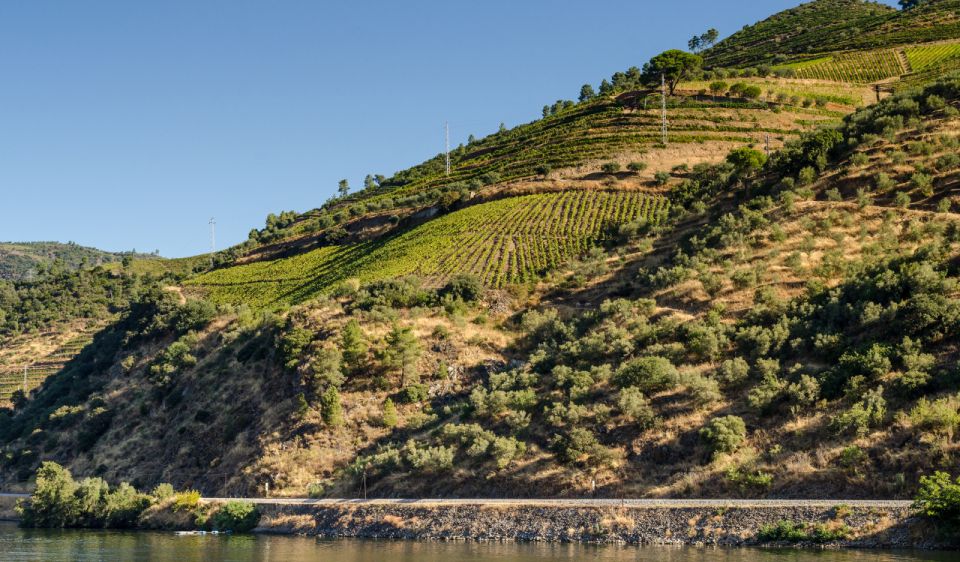 Douro Valley Private Tour With 2 Wine Tastings - Frequently Asked Questions
