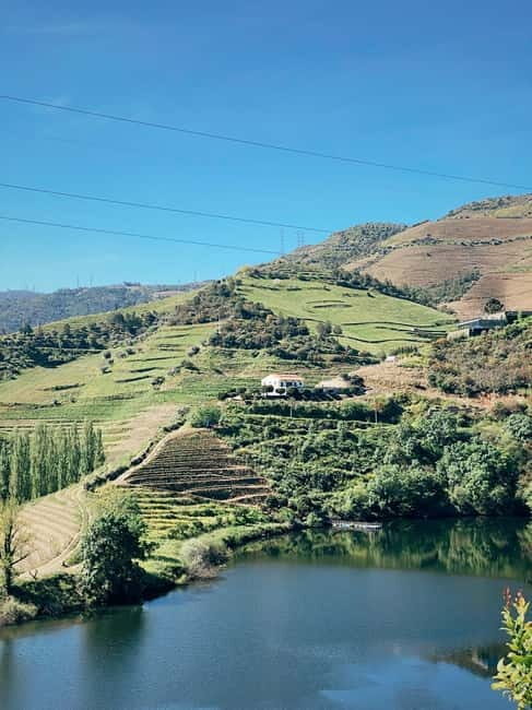 Douro Valley: PRIVATE TOURS with 1 Wine Tasting - In-Depth Look at the Douro Valley Private Tour  